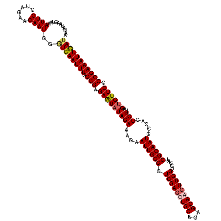 secondary structure