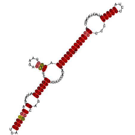 secondary structure