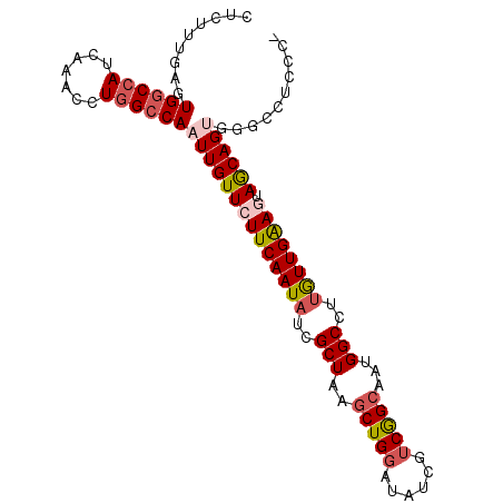 secondary structure