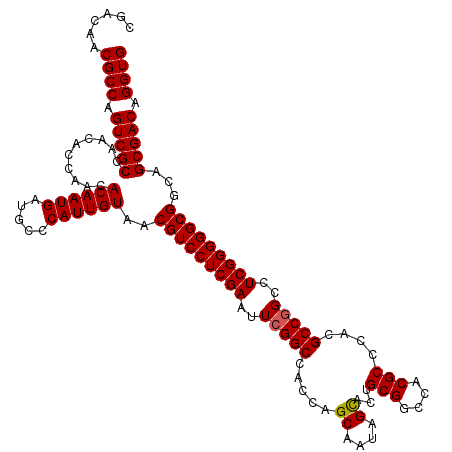 secondary structure