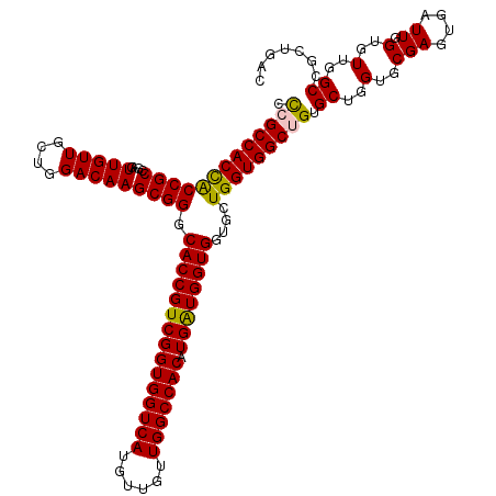 secondary structure