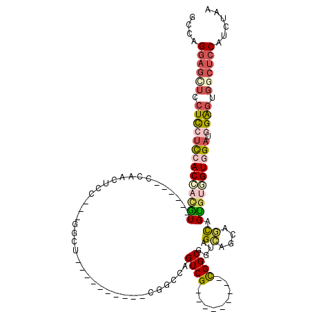 secondary structure