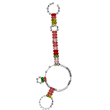 secondary structure