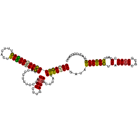 secondary structure