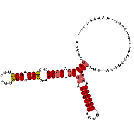 secondary structure