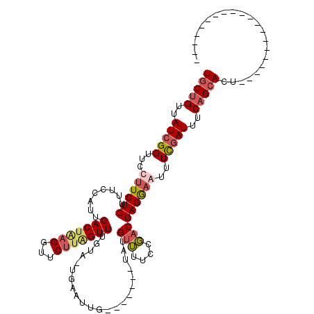 secondary structure