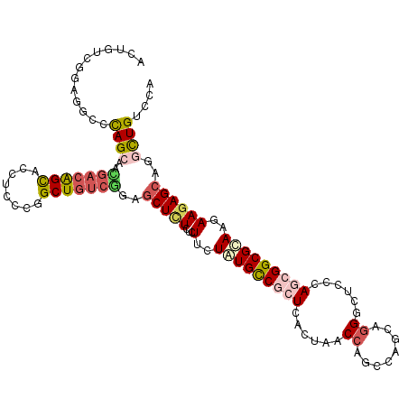 secondary structure