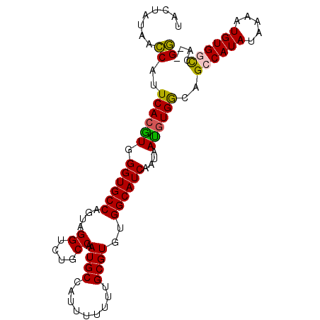 secondary structure