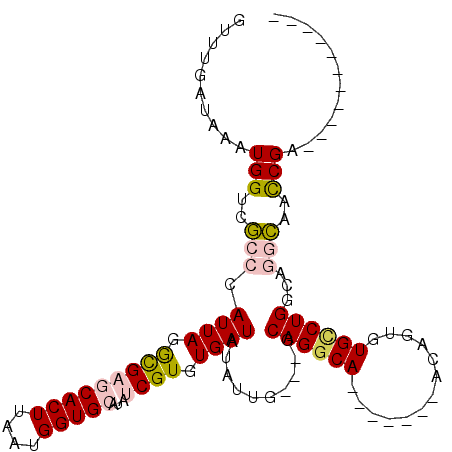 secondary structure