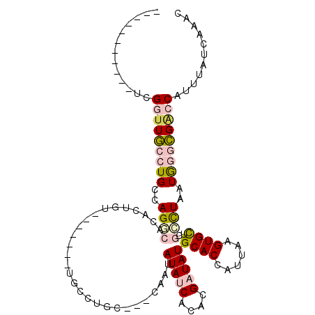 secondary structure