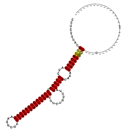 secondary structure
