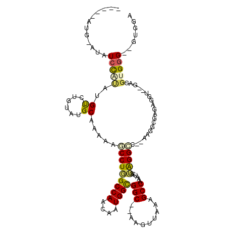 secondary structure