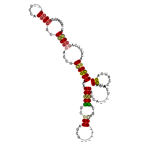 secondary structure