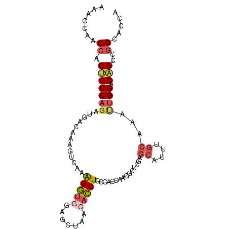secondary structure