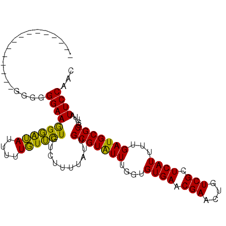 secondary structure
