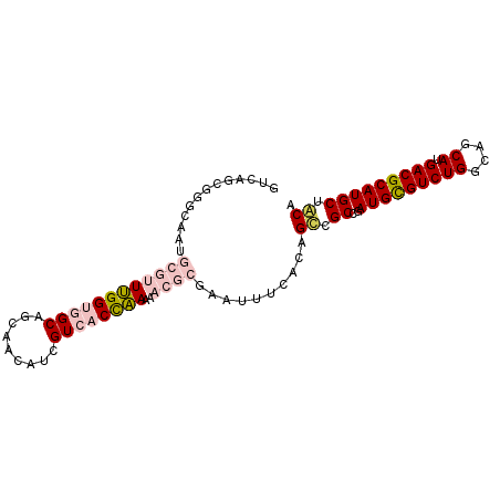 secondary structure