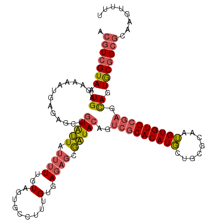 secondary structure