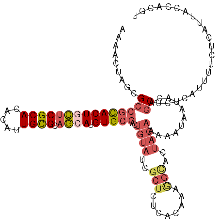 secondary structure
