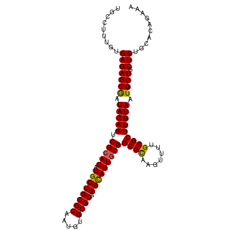 secondary structure