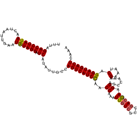 secondary structure