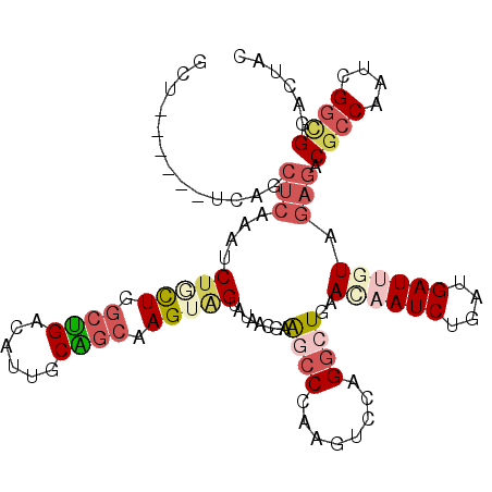 secondary structure