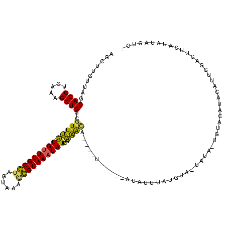 secondary structure