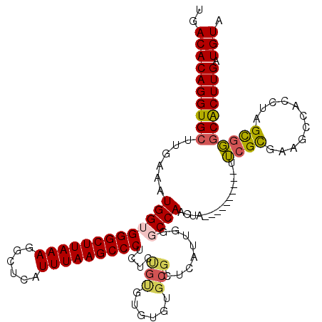 secondary structure