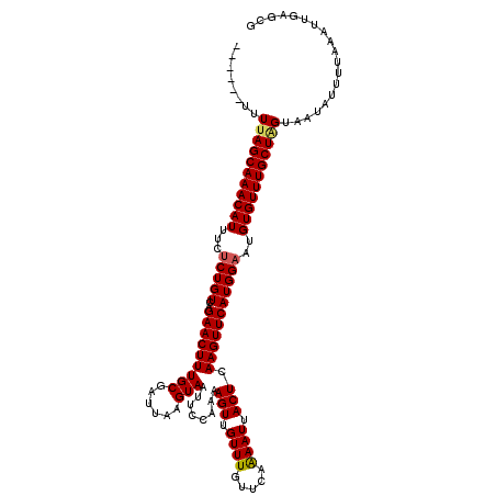 secondary structure
