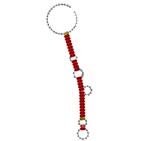 secondary structure
