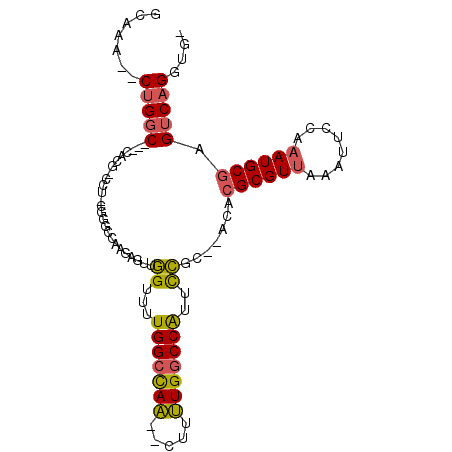 secondary structure