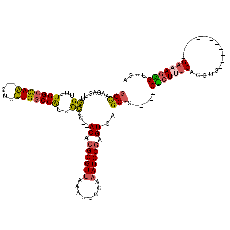 secondary structure