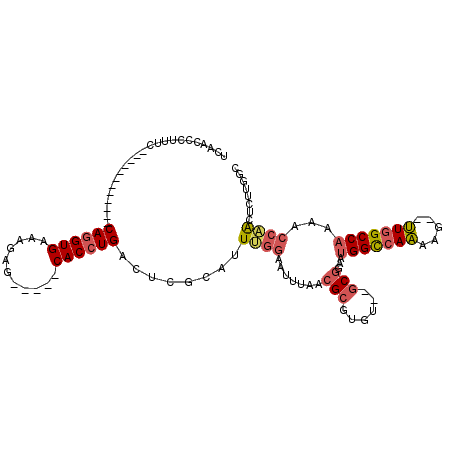 secondary structure