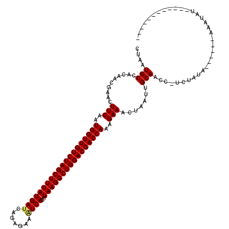 secondary structure