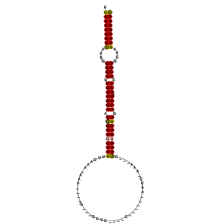 secondary structure