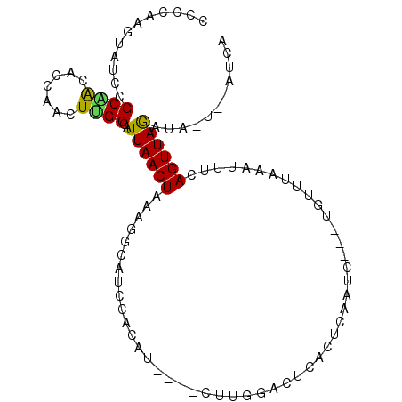 secondary structure