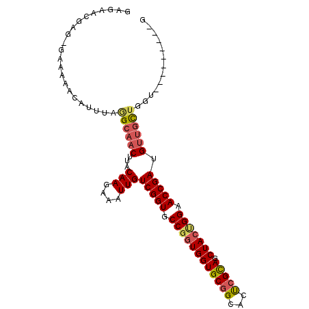 secondary structure