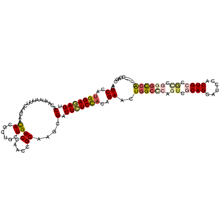 secondary structure