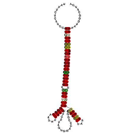 secondary structure