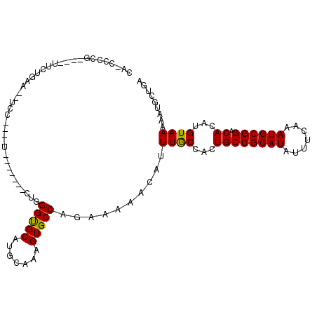 secondary structure