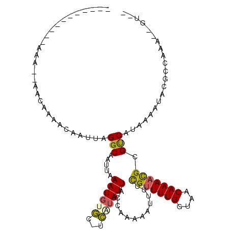 secondary structure