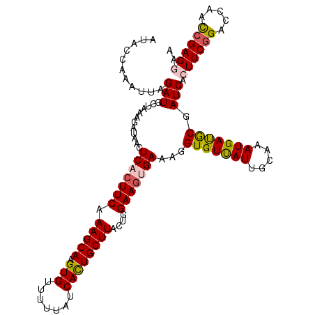 secondary structure