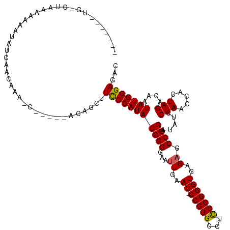 secondary structure