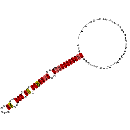 secondary structure