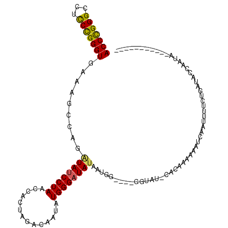 secondary structure