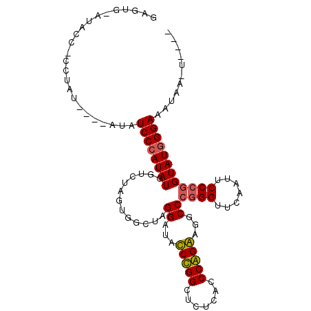secondary structure
