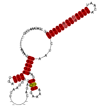 secondary structure