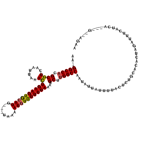 secondary structure