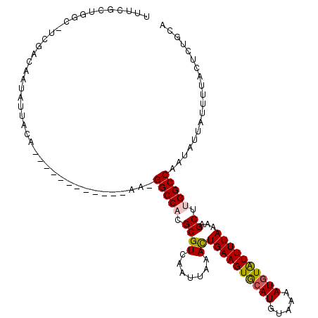 secondary structure