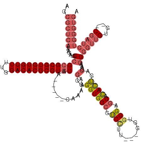 secondary structure