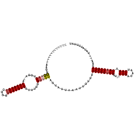 secondary structure